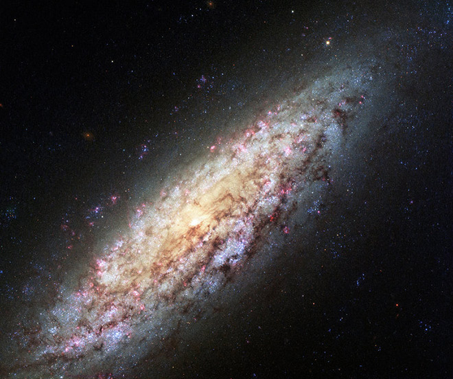 13d521d1.jpg